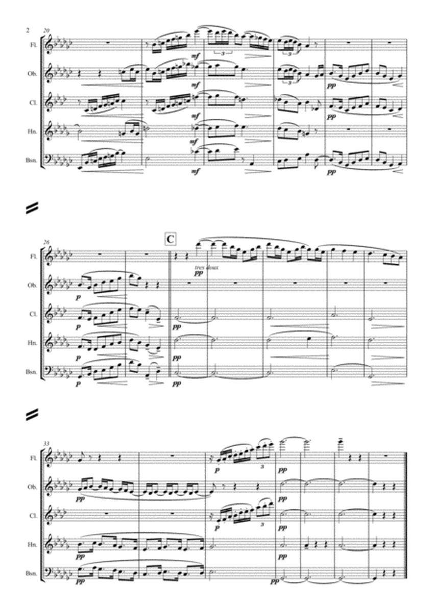 Debussy: Piano Preludes Bk.1 No.8 "La fille aux cheveux de lin" - wind quintet image number null