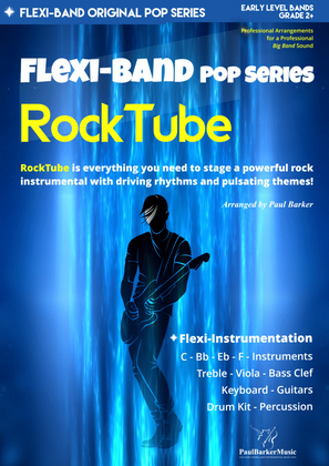 Book cover for RockTube (Flexible Instrumentation)