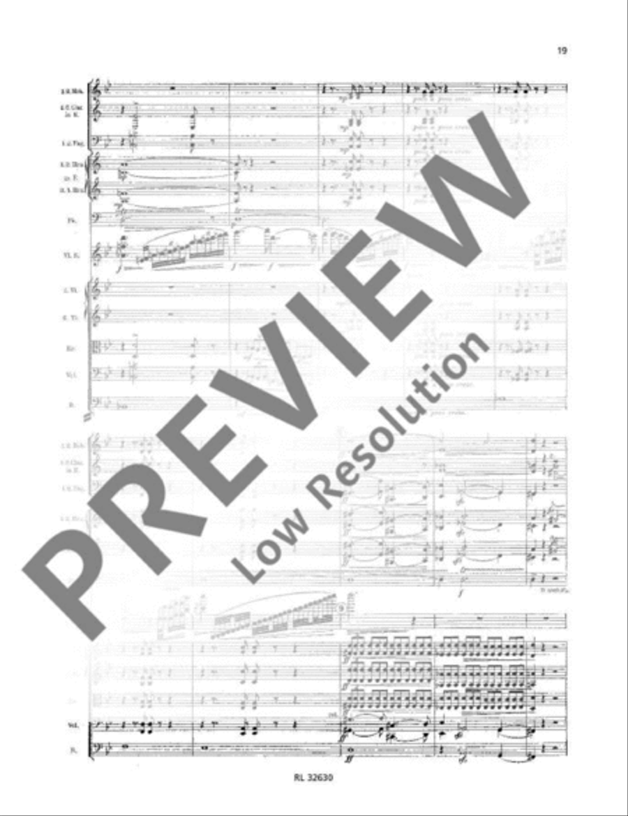 Concerto D minor Concerto D minor Orchestra scores gallery preview page 20