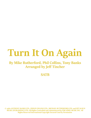Book cover for Turn It On Again