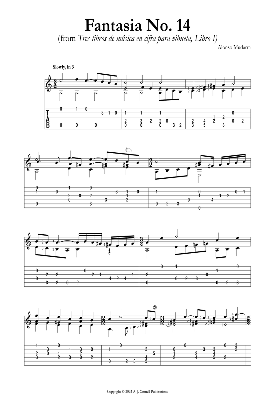 Fantasia No. 14 Classical Guitar scores gallery preview page 1