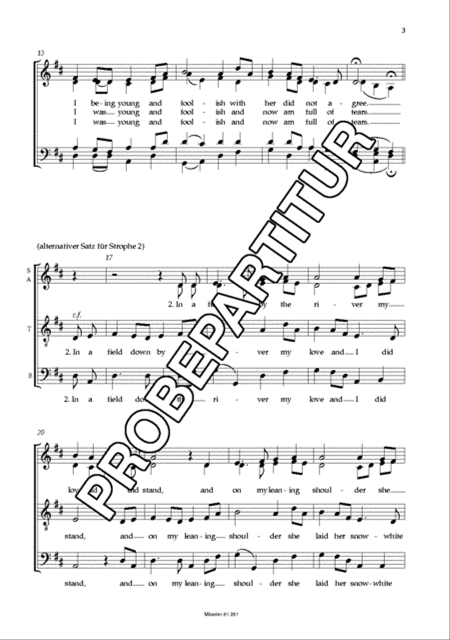 Vier irische Folksongs 4-Part scores gallery preview page 4