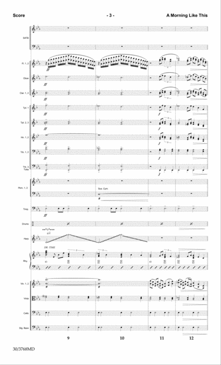 A Morning Like This - Orchestral Score and CD with Printable Parts Choir scores gallery preview page 5