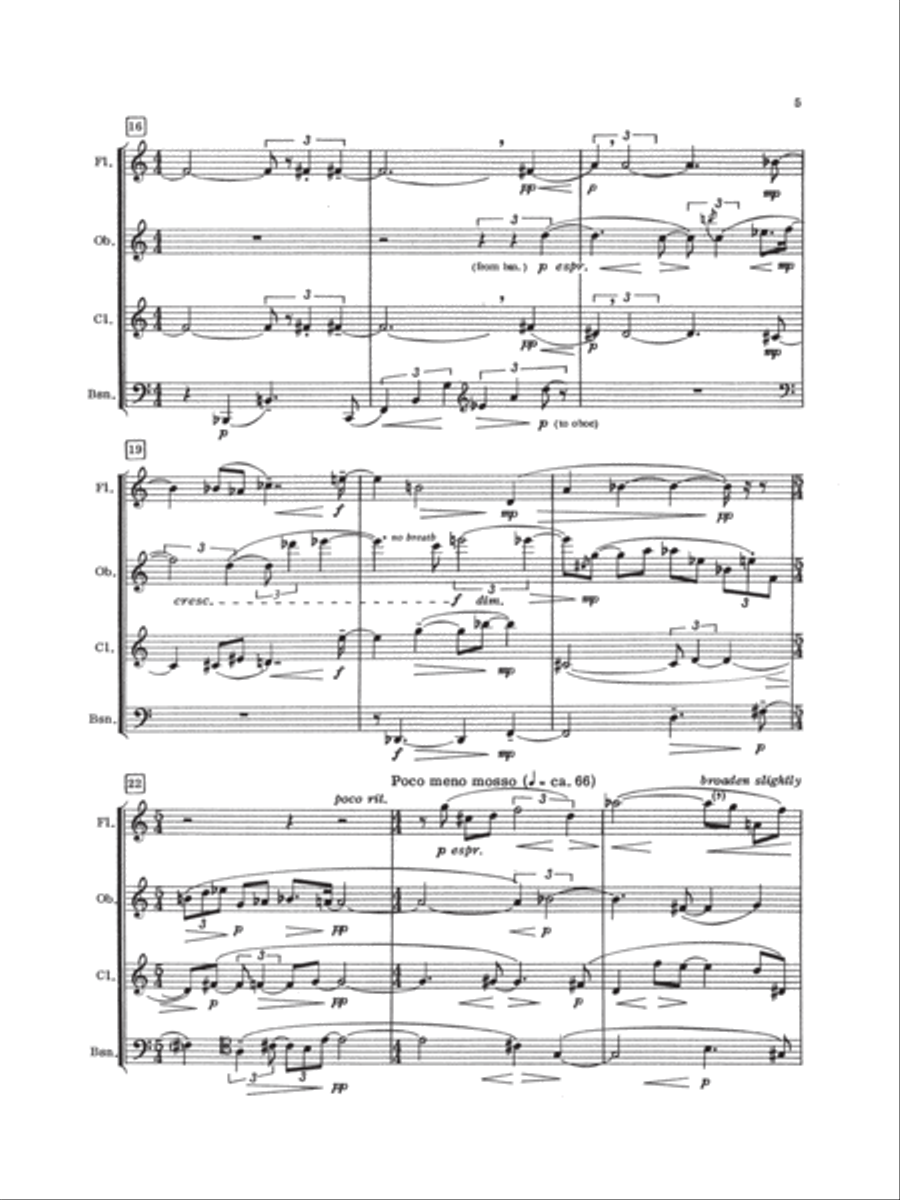 Eloquy Bassoon scores gallery preview page 4