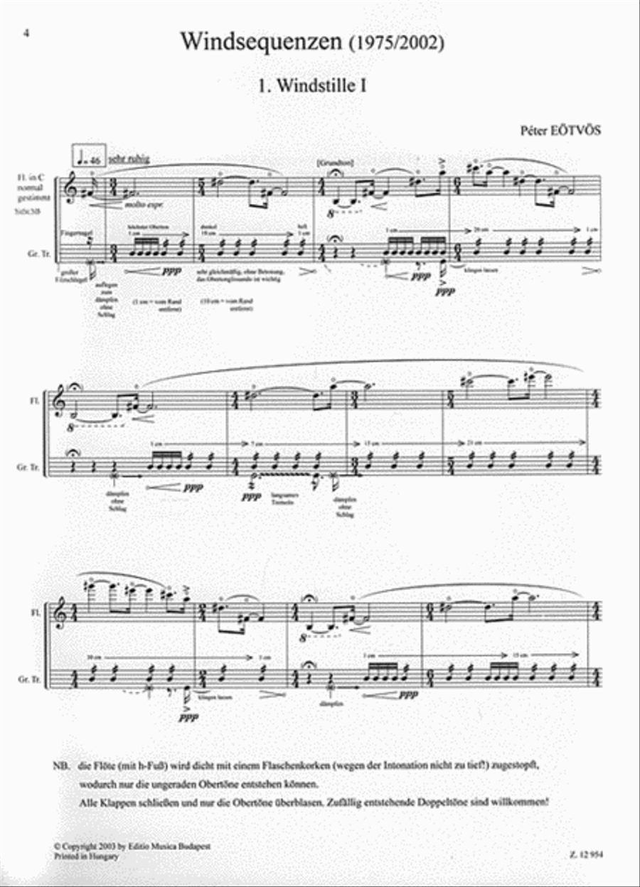 Windsequenzen for Flute and Ensemble Chamber Orchestra scores gallery preview page 2