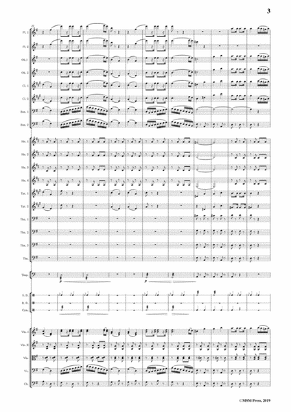Johann Strauss II-Unter Donner und Blitz,Op.324,for Orchestra image number null