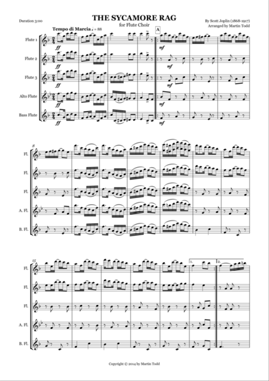 The Sycamore Rag for Flute Choir or Quintet Flute Choir scores gallery preview page 1
