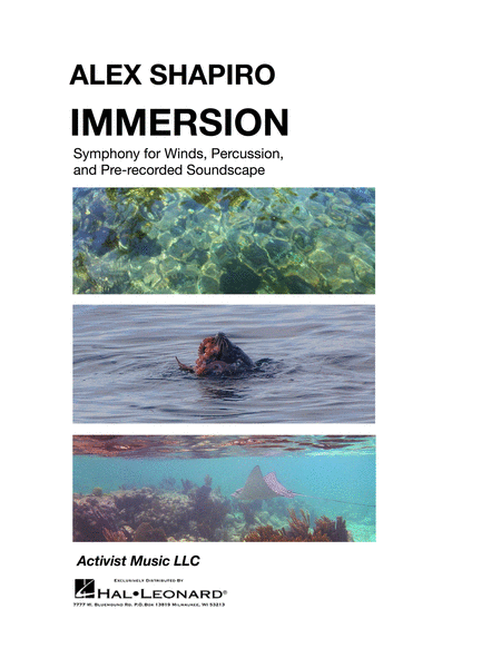 Immersion image number null