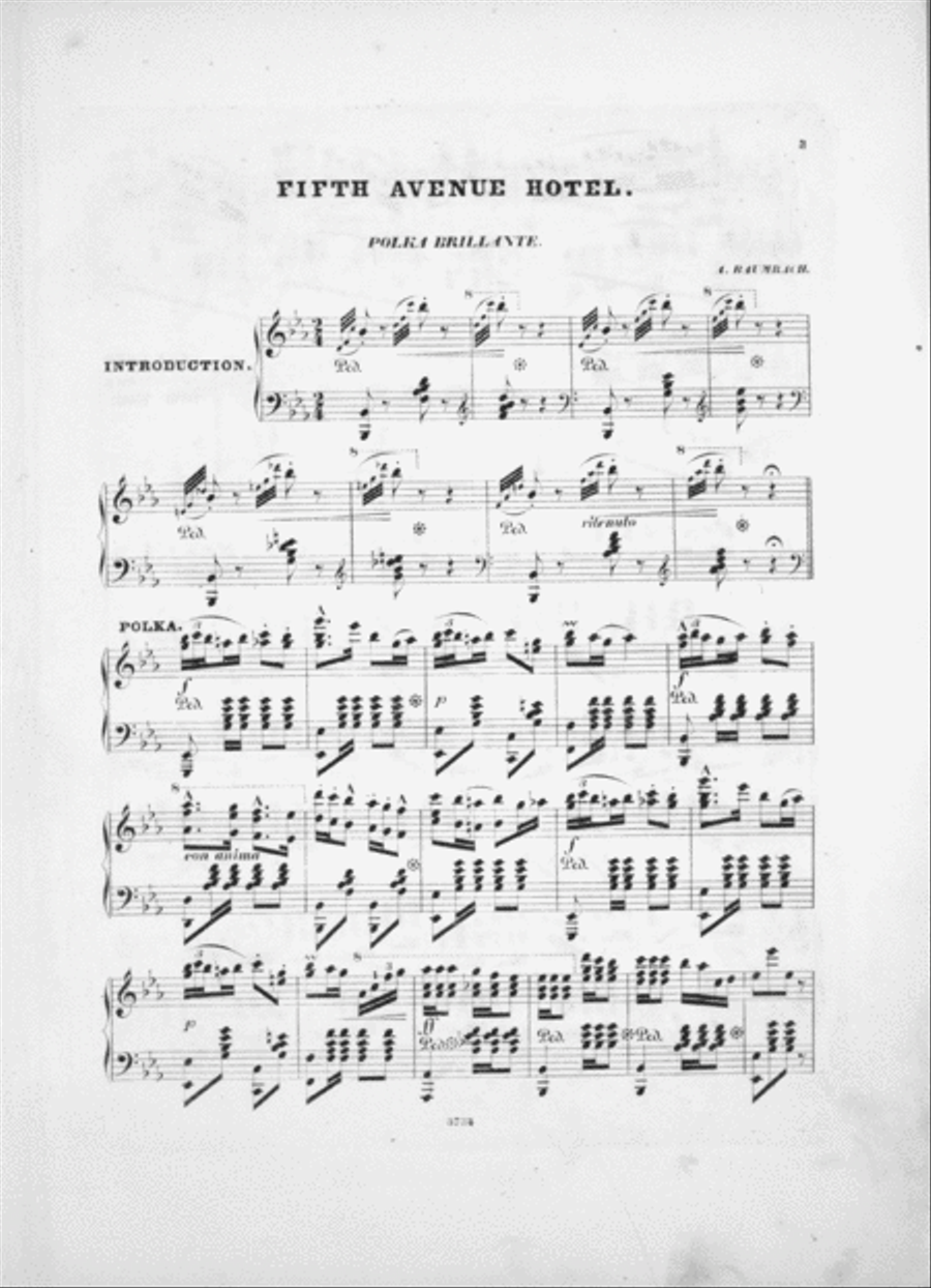 Fifth Avenue Hotel. Polka Brilliant Piano Solo scores gallery preview page 2