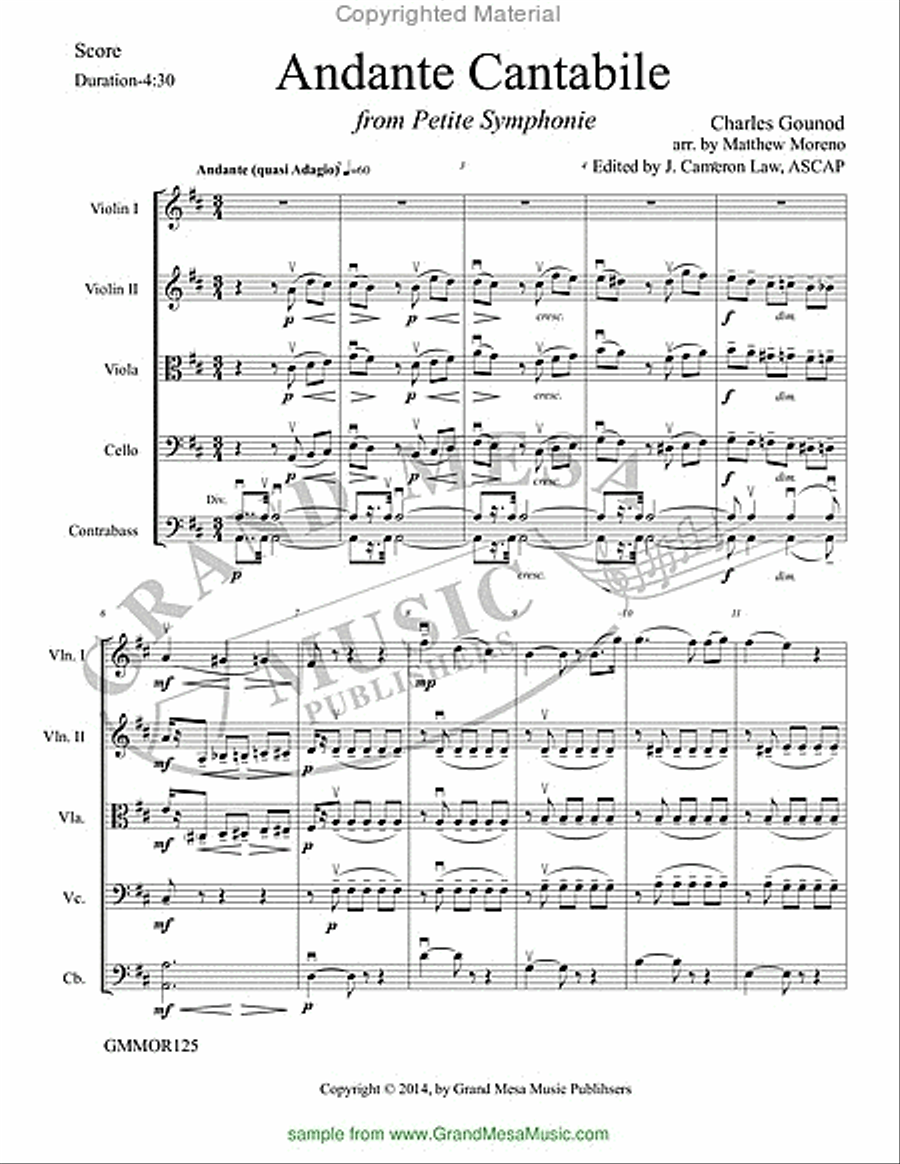Andante Cantabile from Petite Symphony String Orchestra scores gallery preview page 2