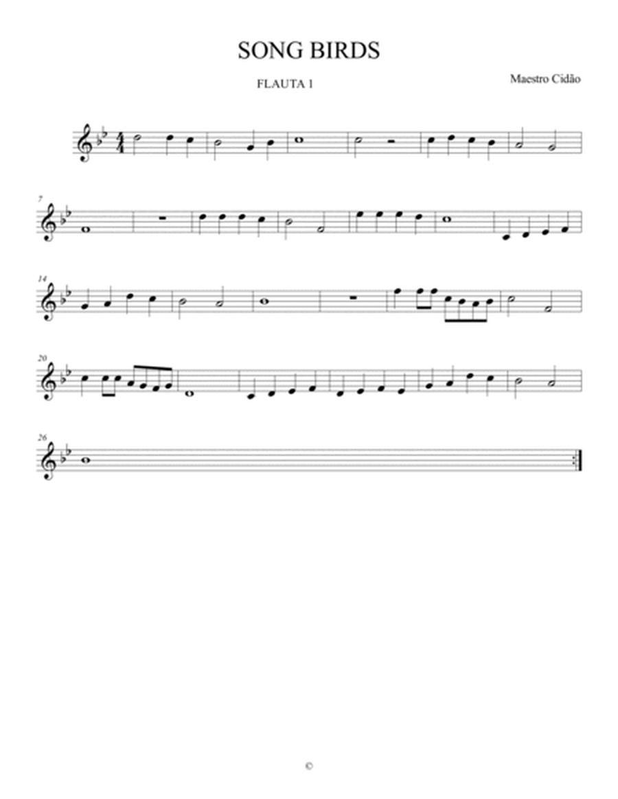 SONG BIRDS - Dueto Flauta Transversal / Doce + Piano (Professor) image number null
