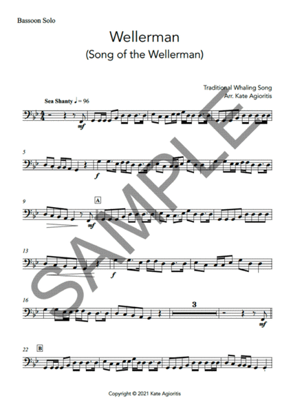 Wellerman - Solo for Bassoon (with play-along backing track) image number null