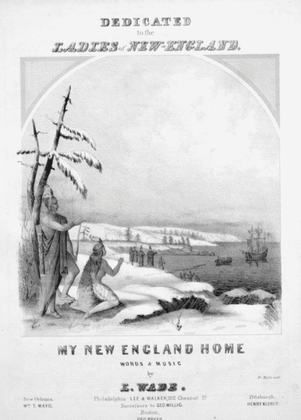 Book cover for My New England Home