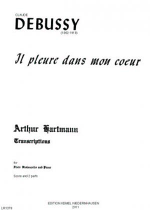 Book cover for Il pleure dans mon coeur