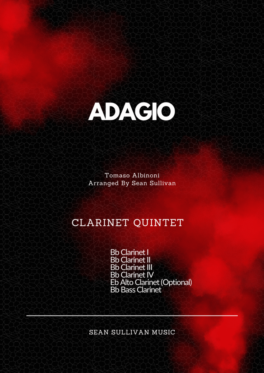 Adagio In G Minor image number null