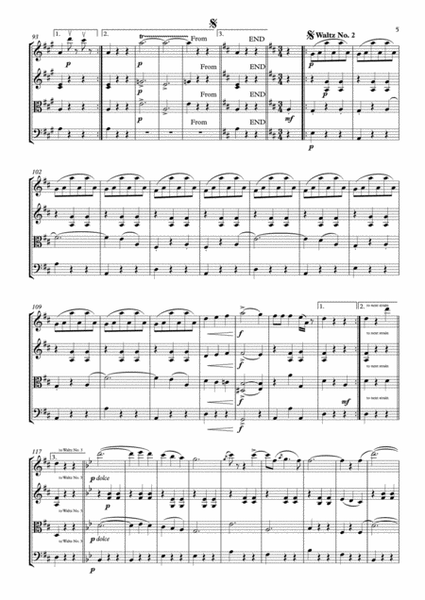 An der schönen blauen Donau - Johann Strauss - For String Quartet (Full Score and Parts) image number null