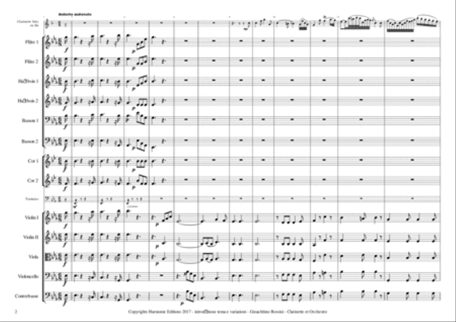 INTRODUCTION, THEME & VARIATIONS - ROSSINI - Clarinet & Orchestra // introduzione tema e variazioni Chamber Orchestra scores gallery preview page 4