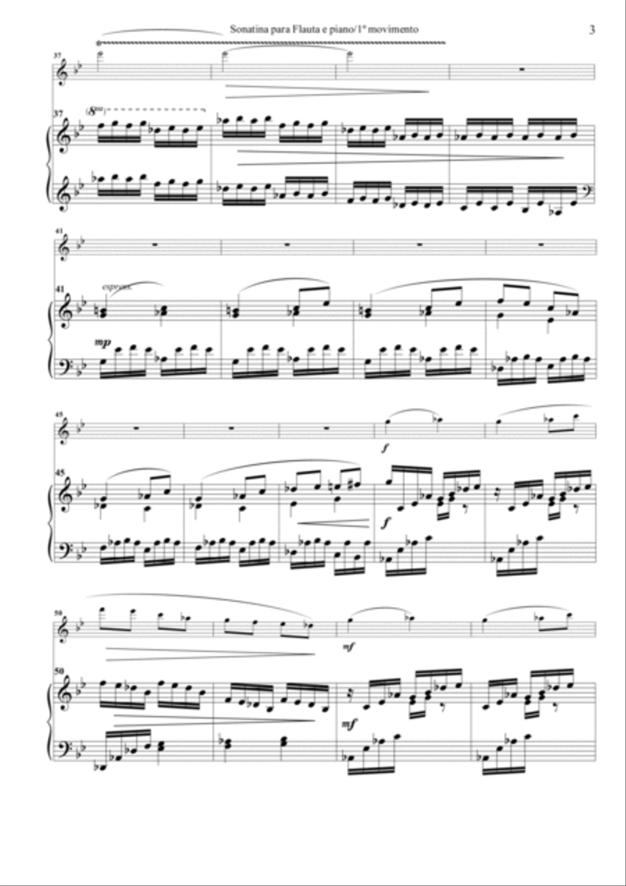 Sonatina para flauta e piano Flute Duet scores gallery preview page 3
