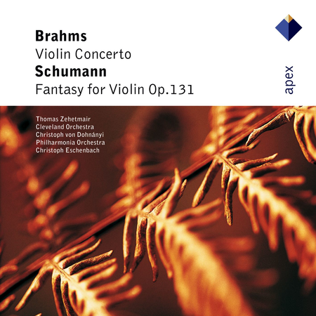Violin Concerto & Fantasy