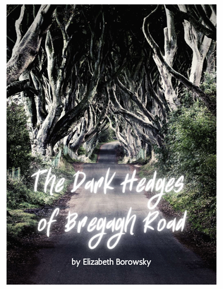The Dark Hedges of Bregagh Road
