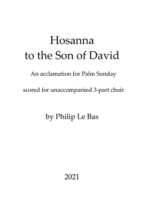 Book cover for Hosanna to the Son of David