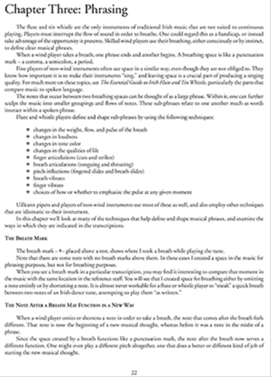 Down the Back Lane: Variation in Traditional Irish Dance Music Flute scores gallery preview page 3