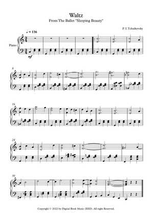 Waltz (Sleeping Beauty) - Peter Ilyich Tchaikovsky (Piano)