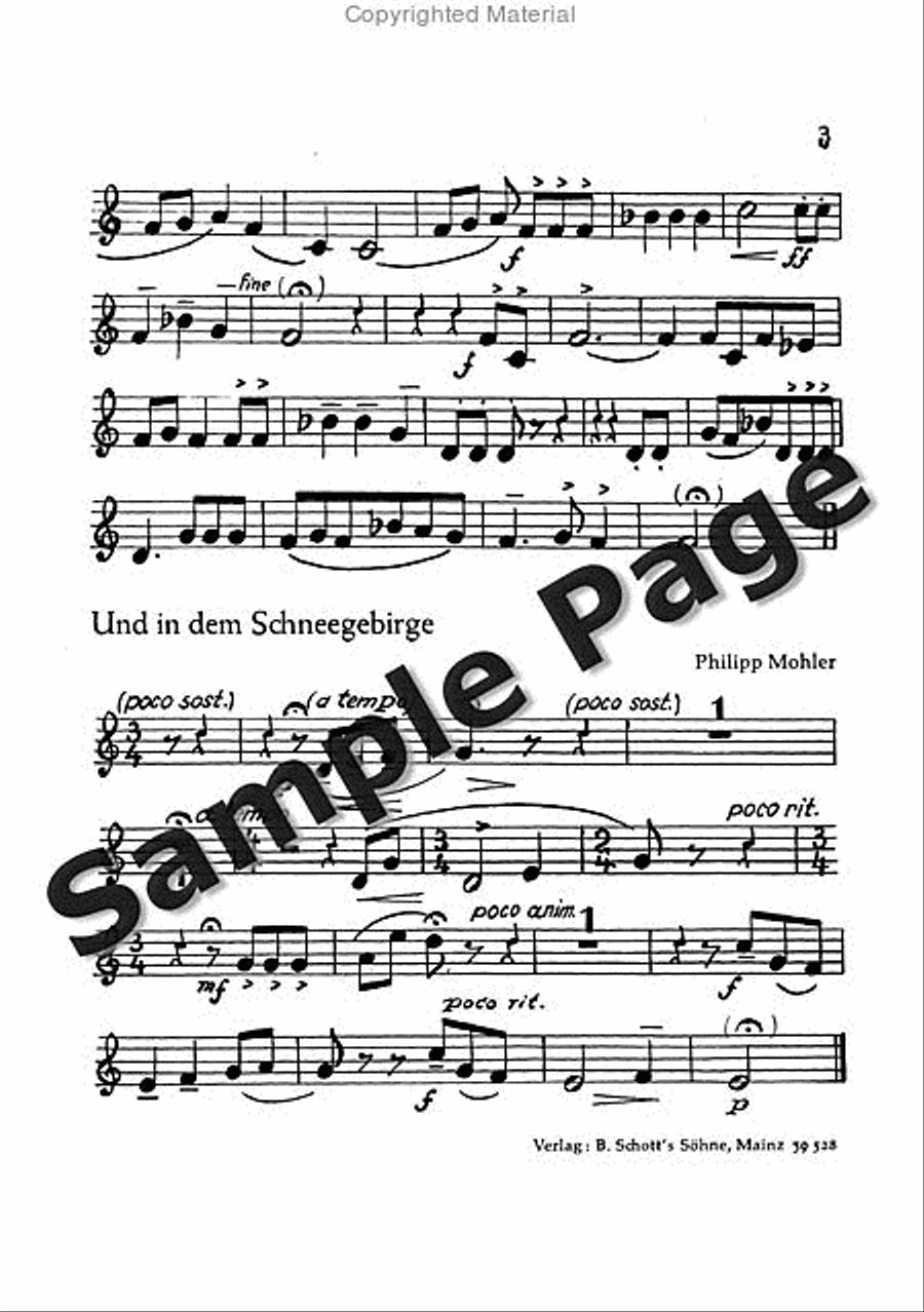 Mohler Ph Festliche Liedkantate Op37(dsb TTBB scores gallery preview page 16