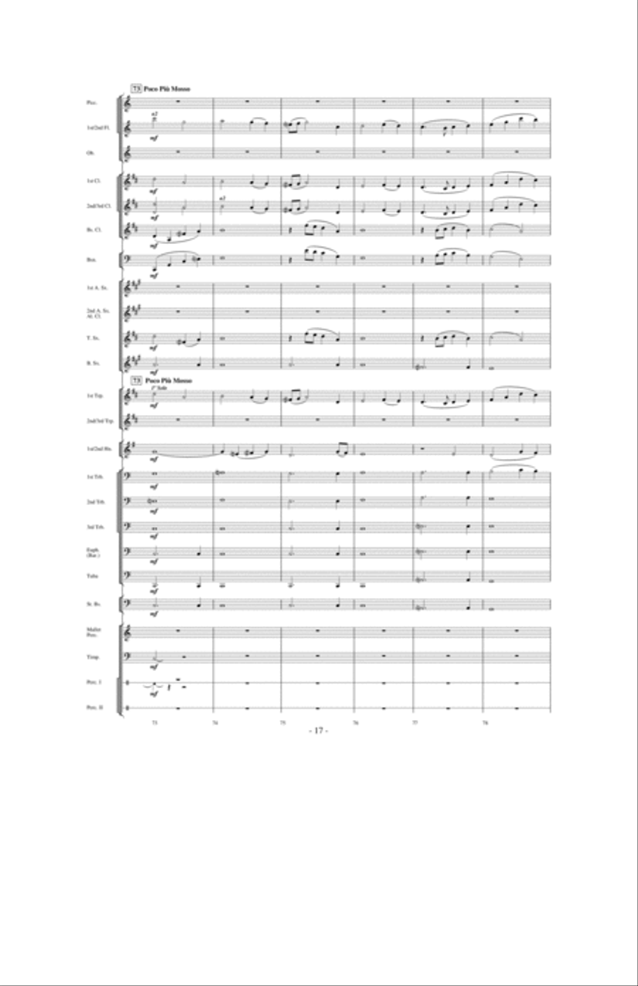 Where Eagles Soar Where Eagles Soar Concert Band scores gallery preview page 16