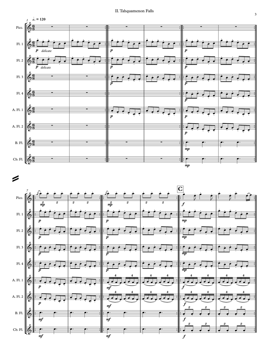 Catching Waterfalls for flute choir Flute Choir scores gallery preview page 5