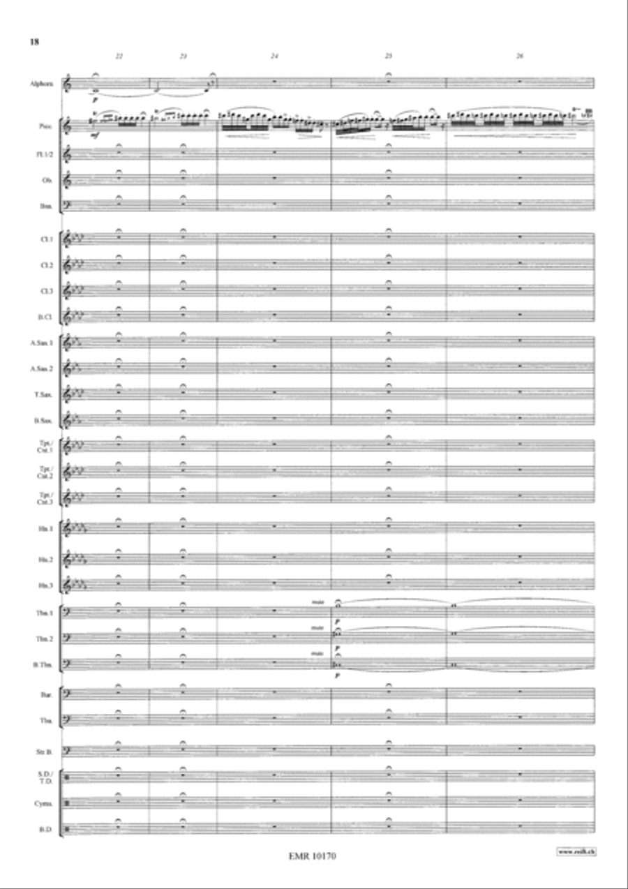 Sinfonietta Alpestre Sinfonietta Alpestre Concert Band scores gallery preview page 9