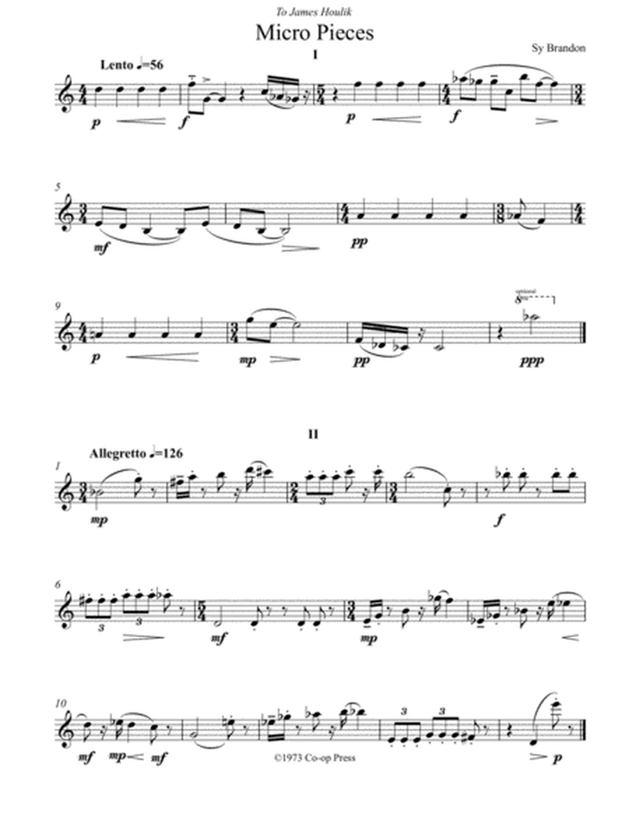 Micro Pieces for Unaccompanied Saxophone image number null