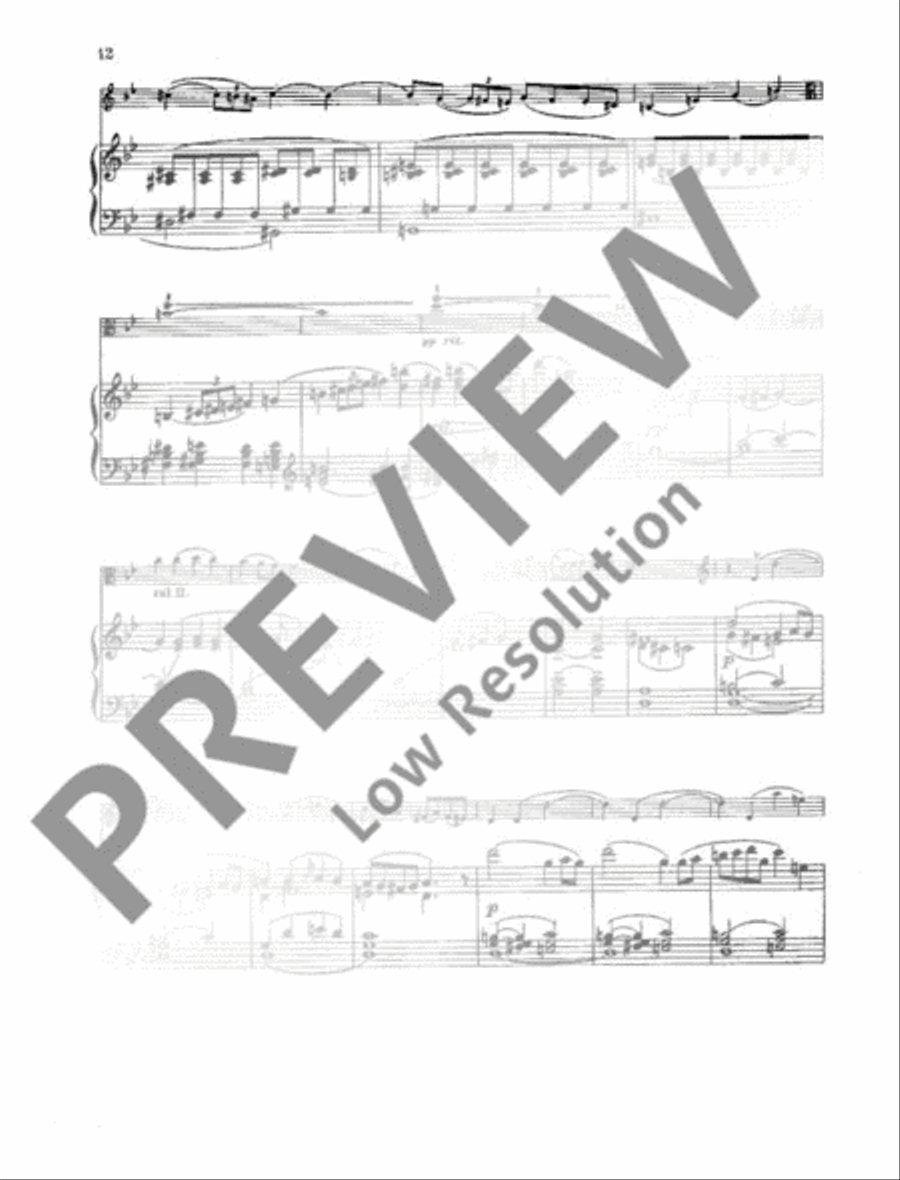 Concerto G Minor Viola scores gallery preview page 13