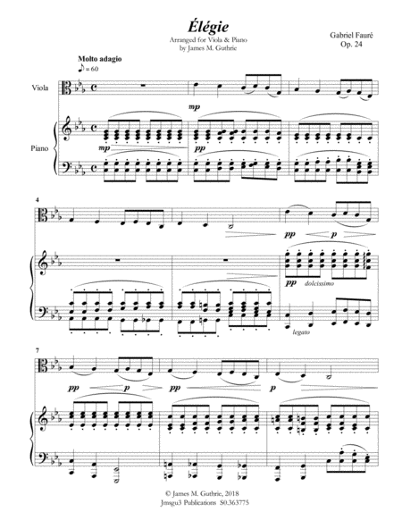 Fauré: Élégie Op. 24 for Viola & Piano image number null