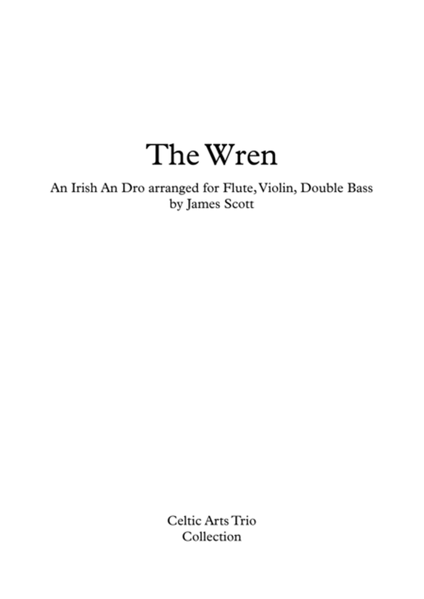 The Wren, an Irish An Dro for Flute, Violin, Double Bass image number null