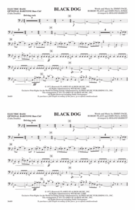 Black Dog: Electric Bass