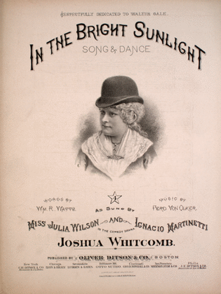 Book cover for In the Bright Sunlight. Song & Dance