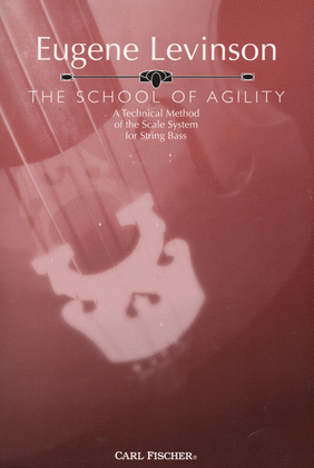 Book cover for The School Of Agility