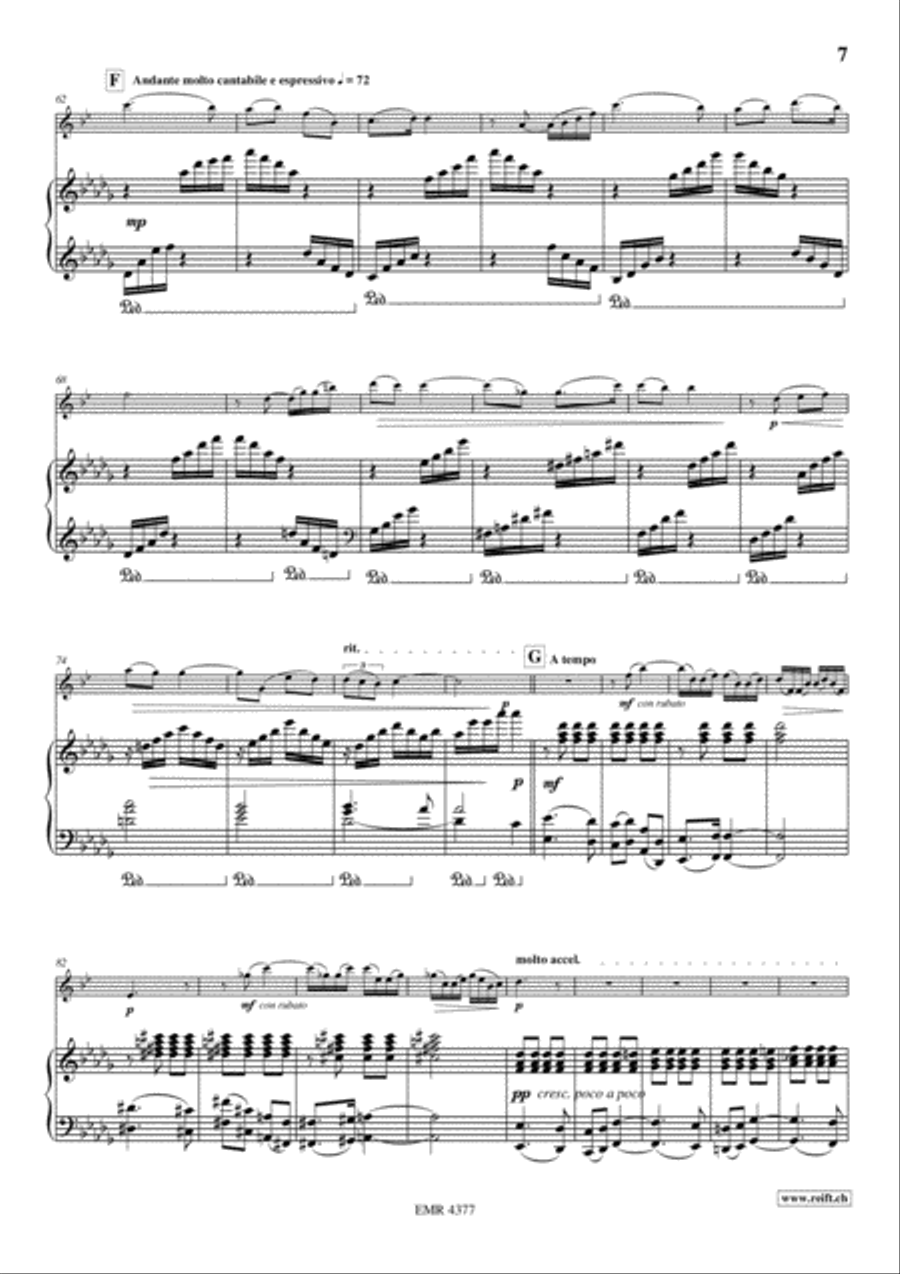 Devil's Concertino Voice Solo scores gallery preview page 8