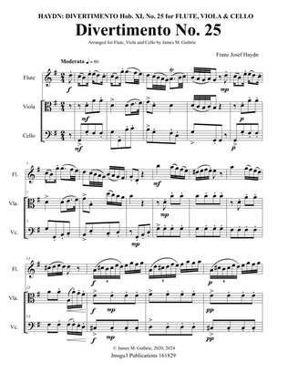 Haydn: Divertimento No. 25 Trio for Flute, Viola & Cello