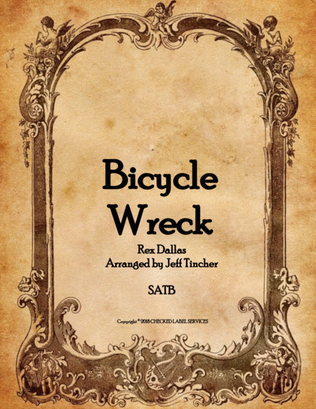 Book cover for Bicycle Wreck
