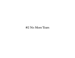 Book cover for No More Tears