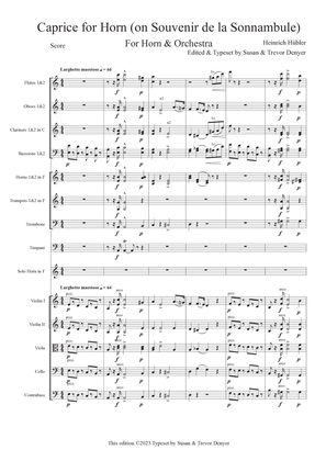 Caprice for Horn (on Bellini's "Souvenir de la Sonnambule")