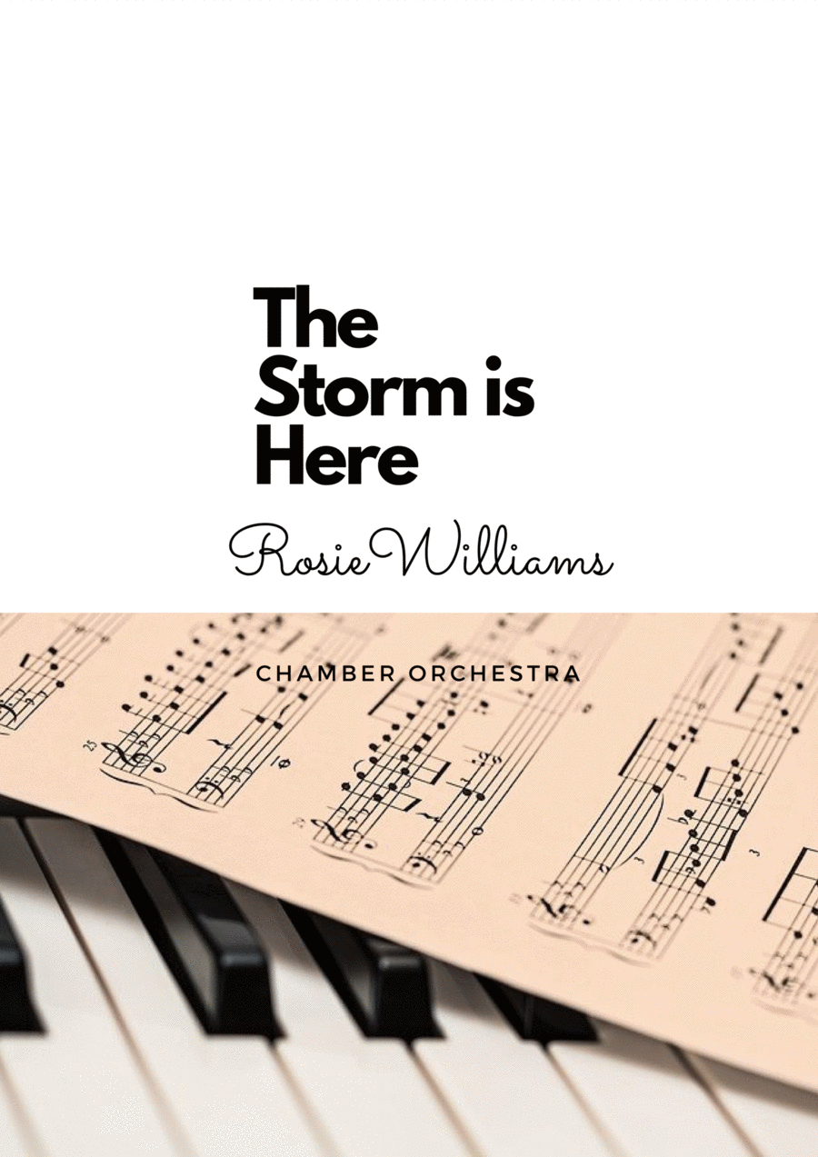 The Storm is Here Chamber Orchestra scores gallery preview page 1