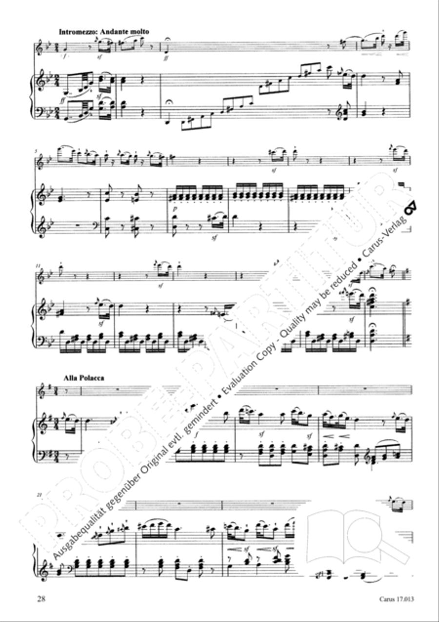 Sonate fur Querflote und Klavier Flute Solo scores gallery preview page 29