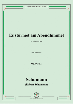 Book cover for Schumann-Es stürmet am Abendhimmel,Op.89 No.1,in b flat minor