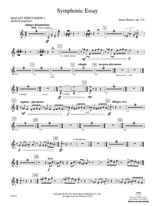 Symphonic Essay: Mallets