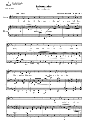 Book cover for Salamander, Op. 107 No. 2 (E-flat minor)