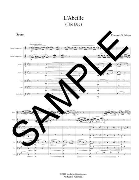 L`Abeille (The Bee) for Two Trumpets and String Orchestra image number null