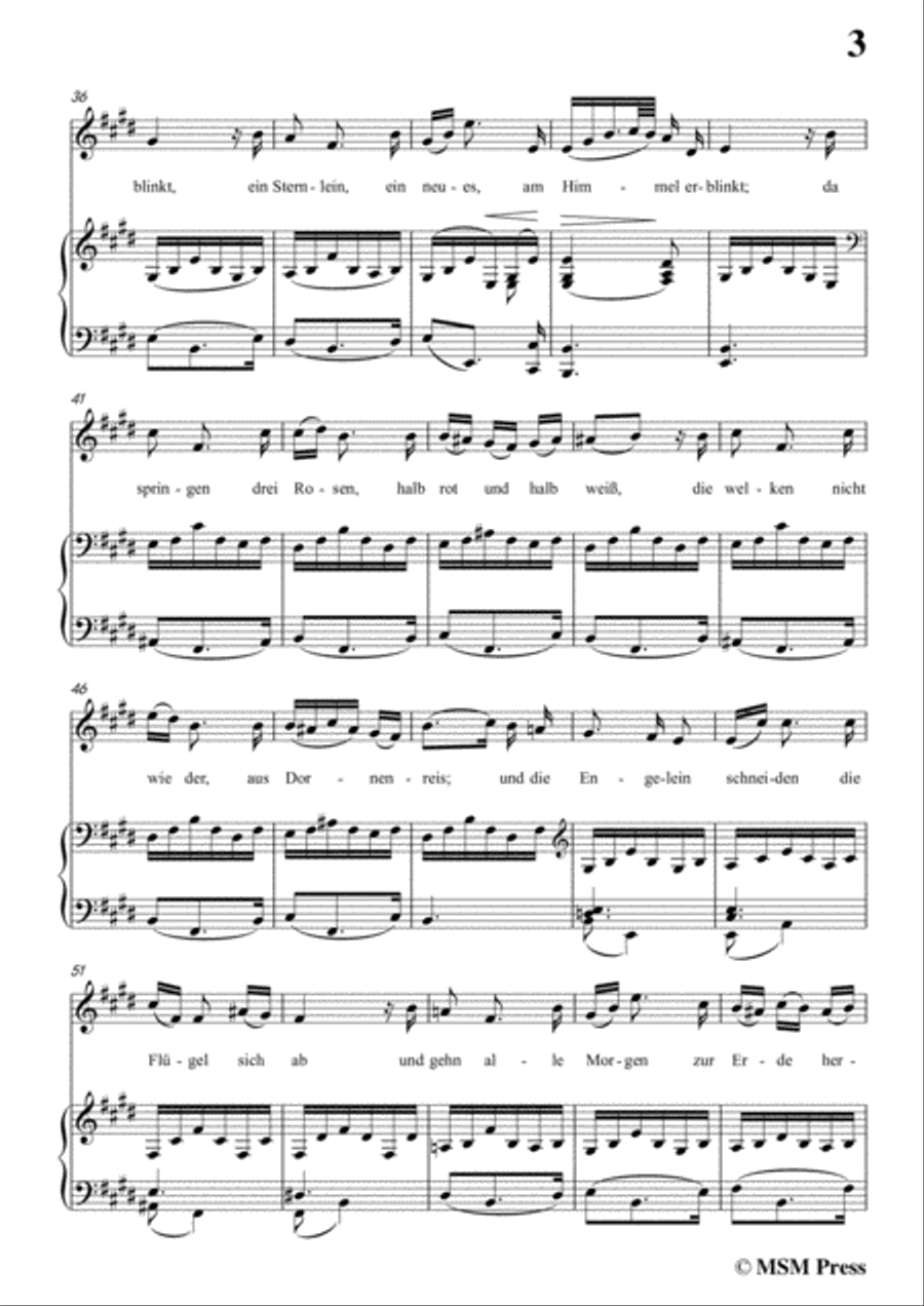 Schubert-Der Müller und der Bach,from 'Die Schöne Müllerin',Op.25 No.19,in e minor,for Voice&Piano Voice scores gallery preview page 5